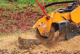 Best Seasonal Cleanup (Spring/Fall)  in Baytown, TX