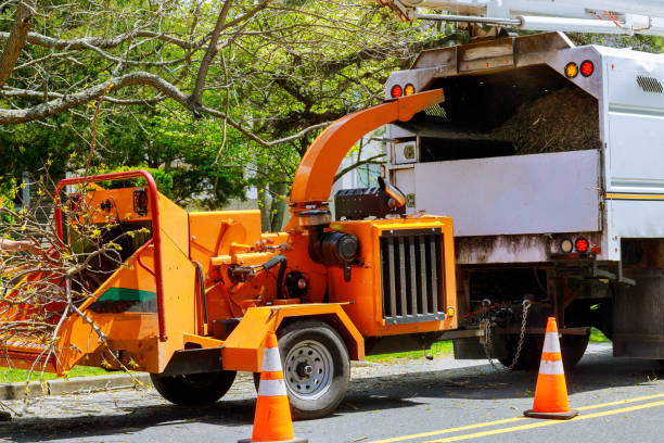 Best Aeration Services  in Baytown, TX