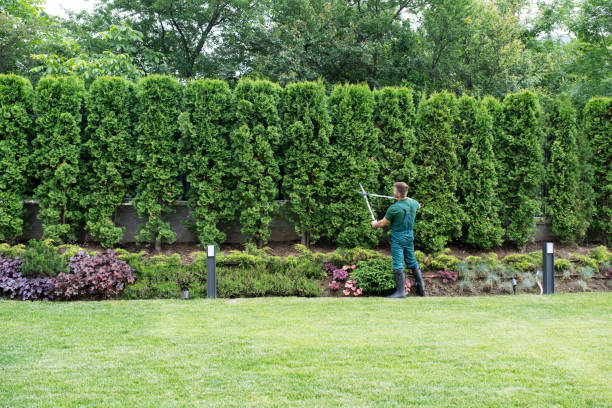 Best Lawn Irrigation Installation and Maintenance  in Baytown, TX