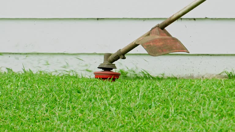 Best Lawn Seeding  in Baytown, TX