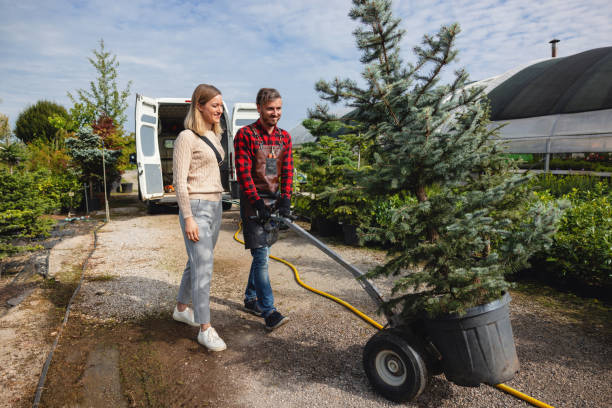 Best Lawn Drainage Solutions  in Baytown, TX